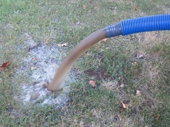 carpet clean